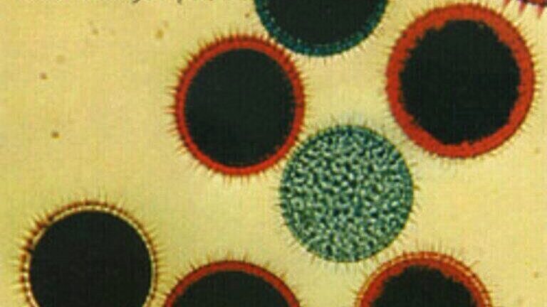 Such a great day… Discord reissues ‘Artificial Horizon’ by Lungfish!!