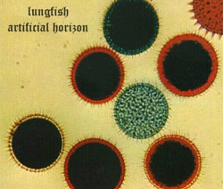 Such a great day… Discord reissues ‘Artificial Horizon’ by Lungfish!!