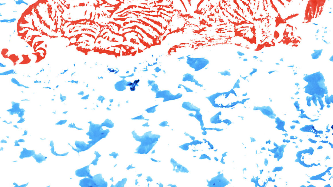 Red Hot Photo Committee by National Photo Committee