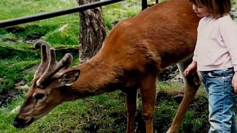 Bitch Creek by Bitch Creek