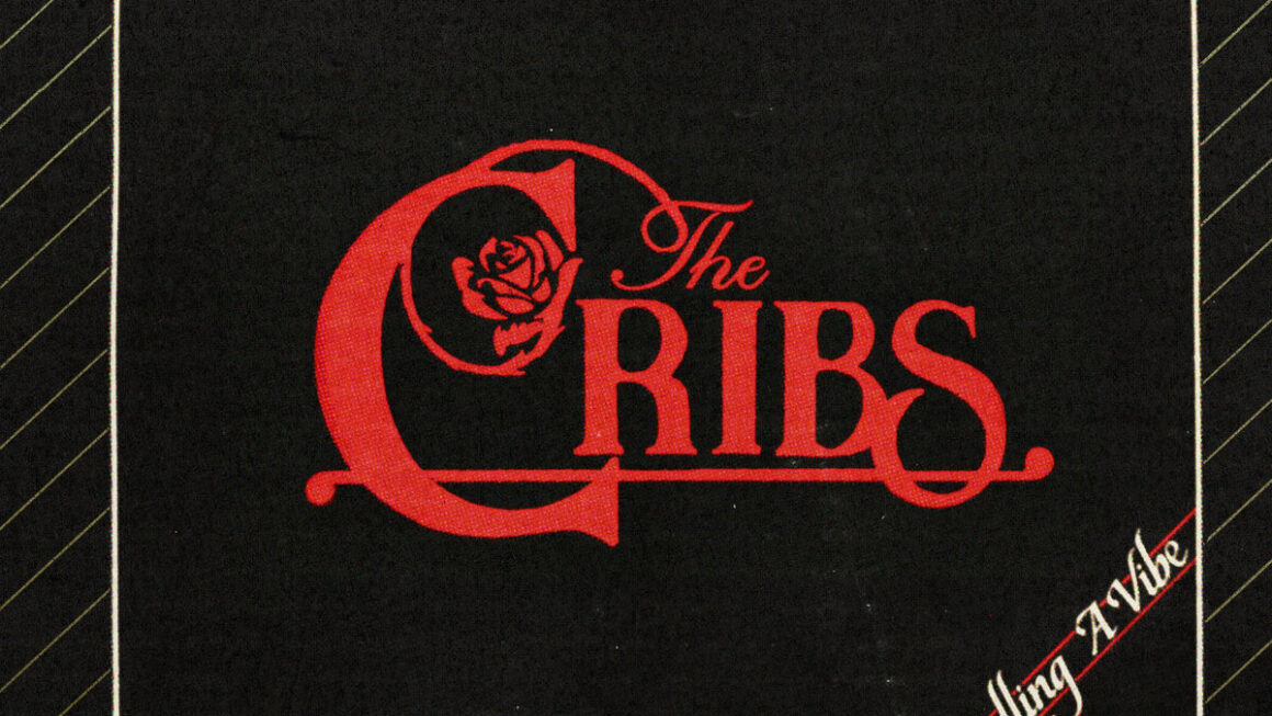 Selling A Vibe by The Cribs